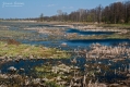 030_Biebrza - kwiecien 2010